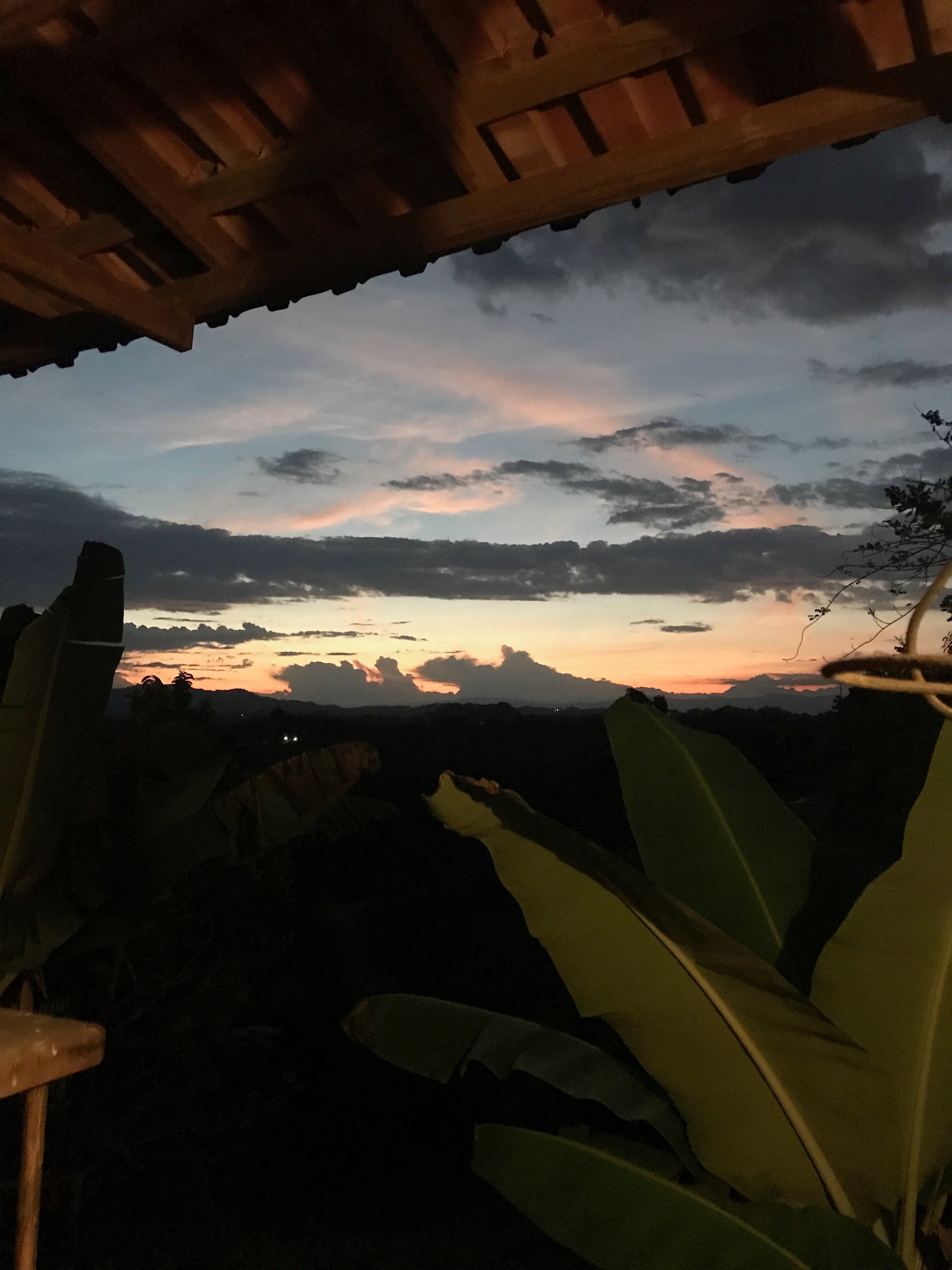 Entrepalmas Ecolodge Hotel Campestre-酒店景观