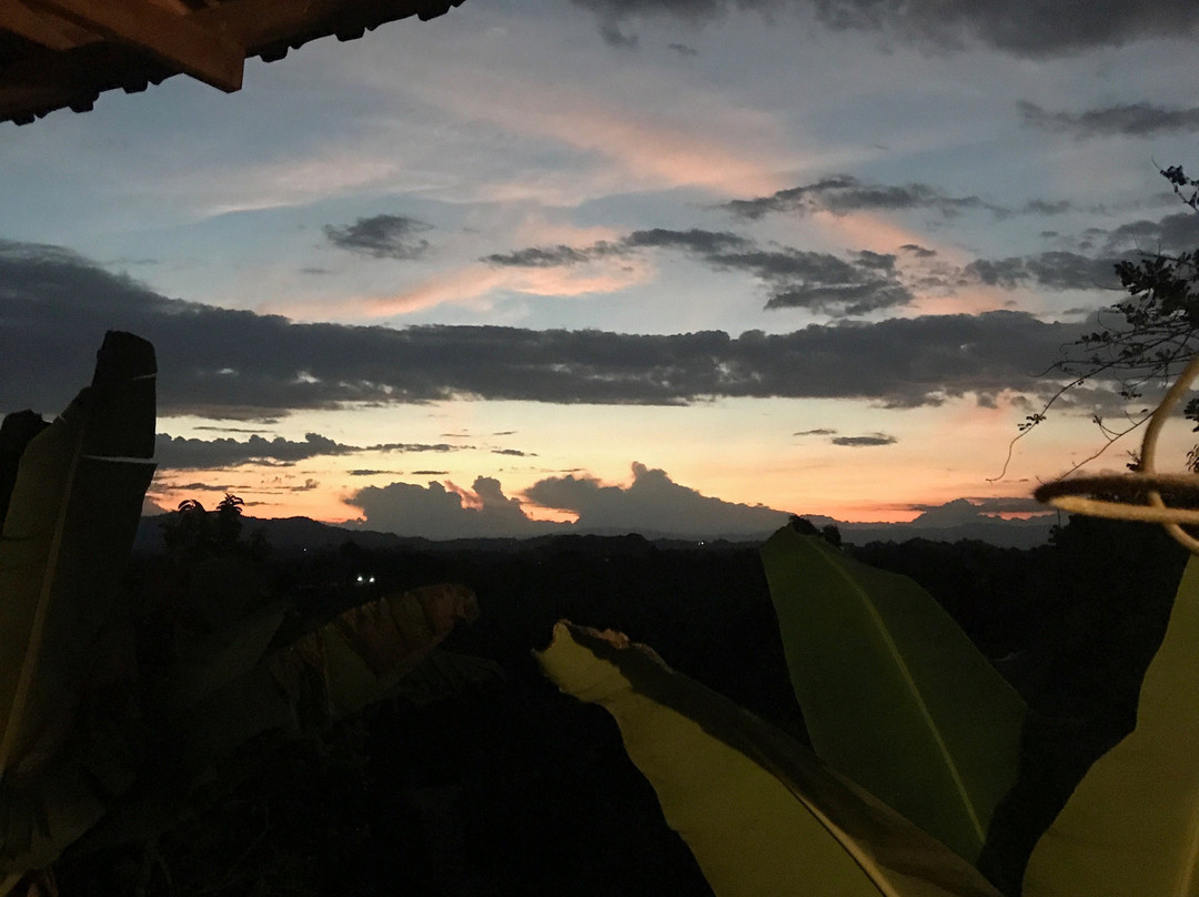 Entrepalmas Ecolodge Hotel Campestre主图