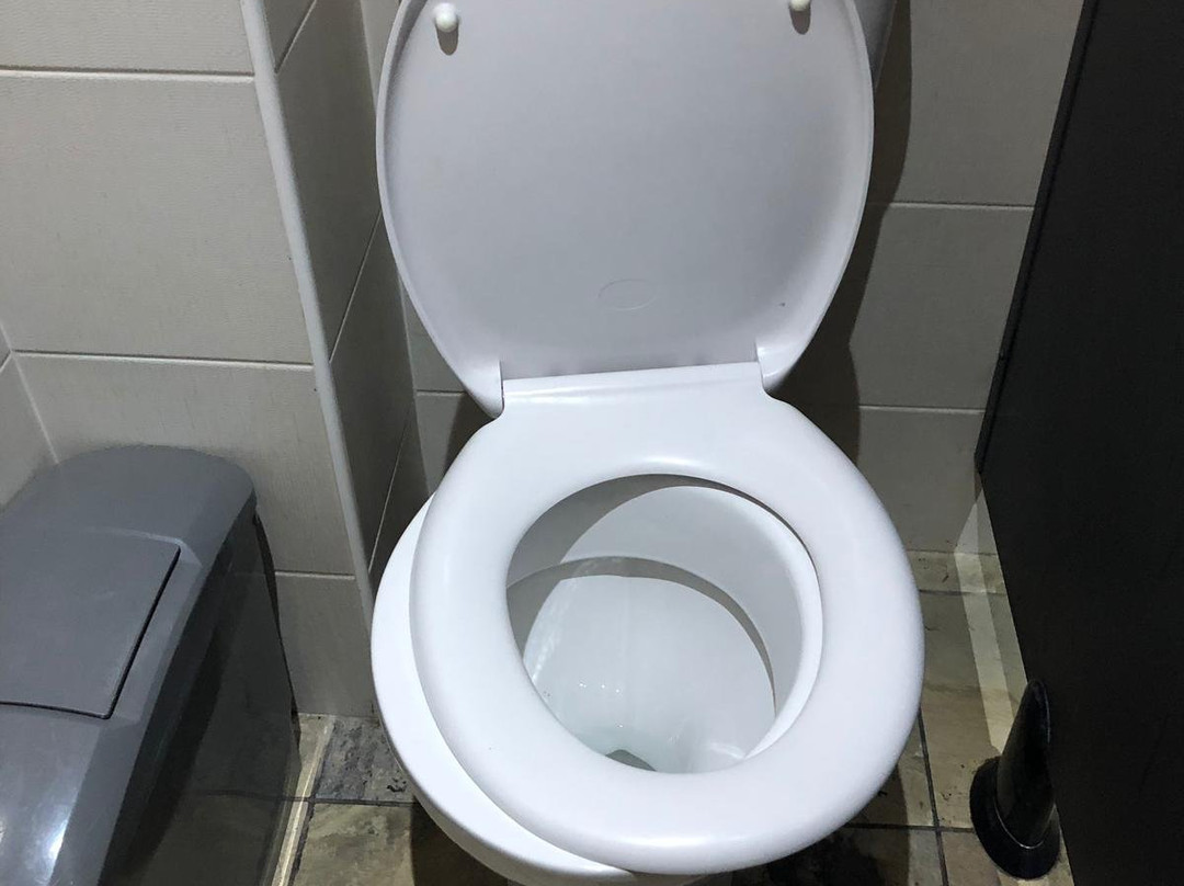 The Lion Hotel主图