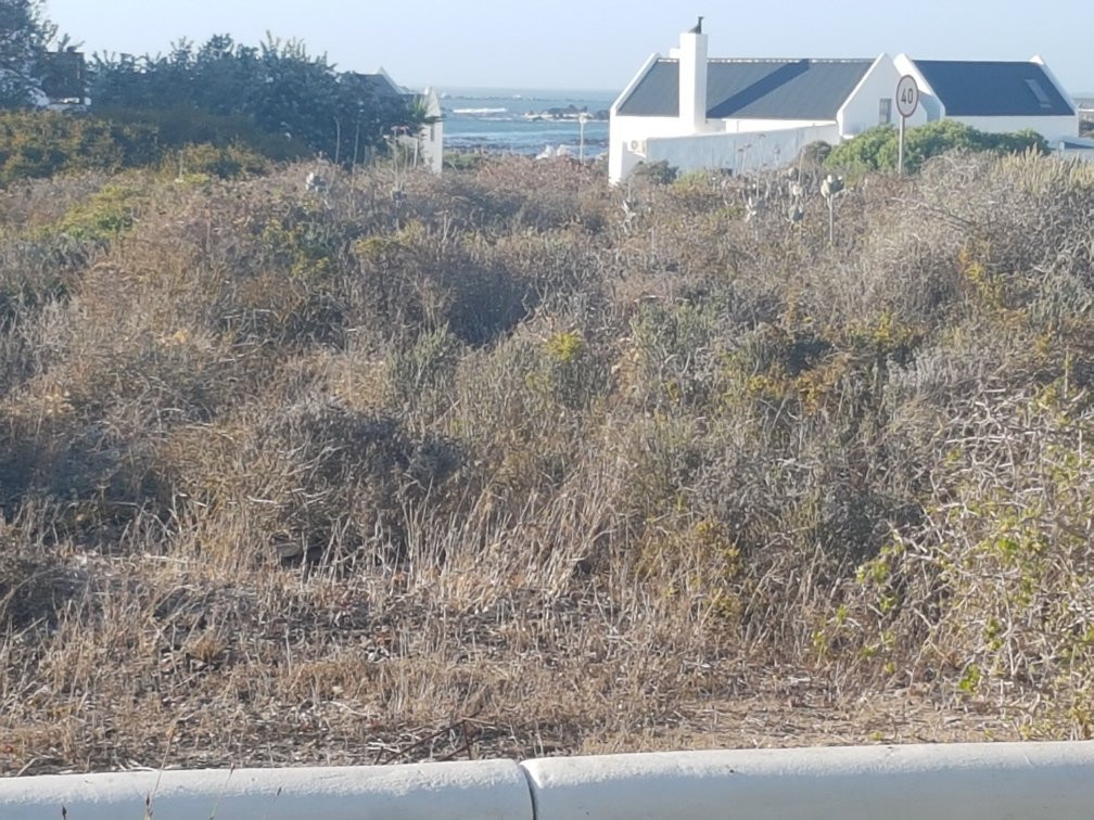 Saldanha Bay Municipality旅游攻略图片