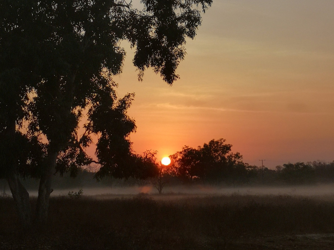 Mt Bundy Station主图