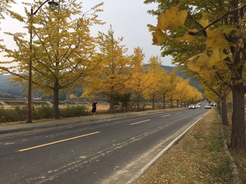 Tongiljeon-庆州市必去景点