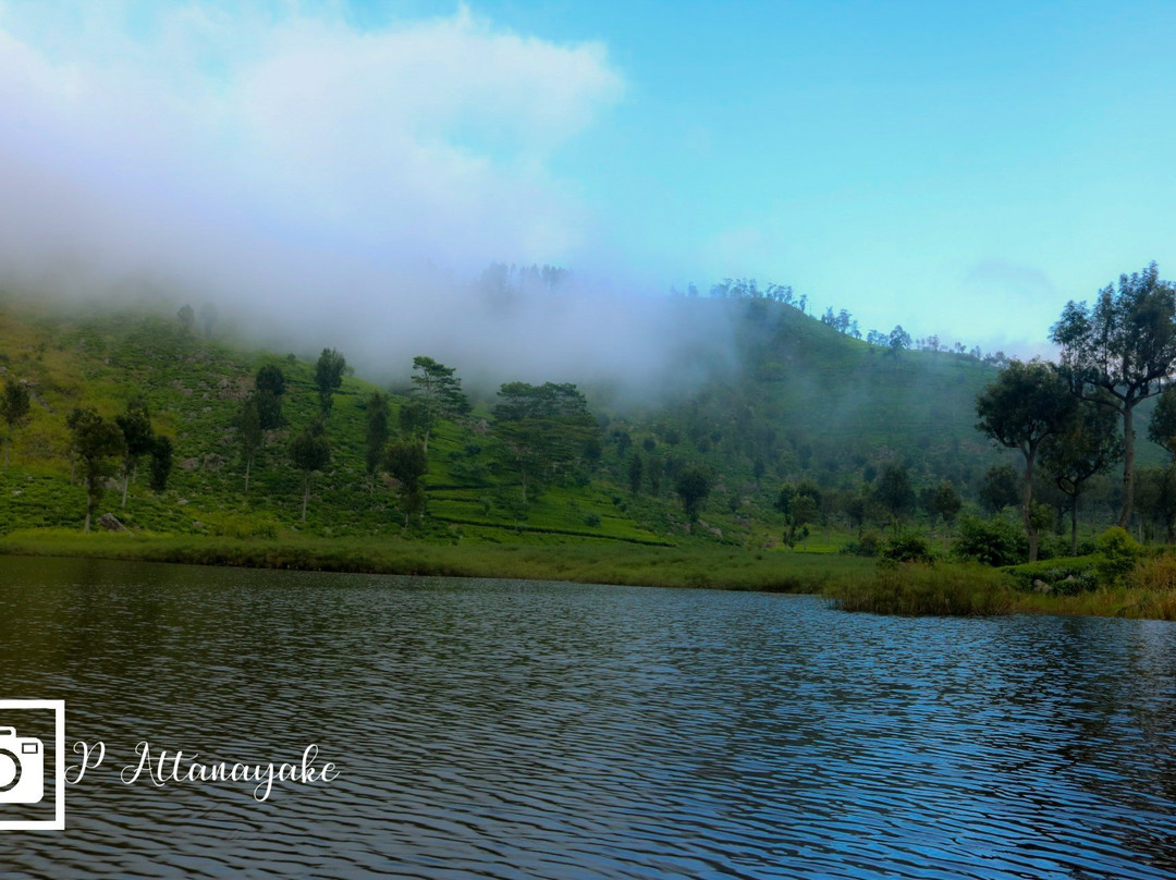Lake Richmond-哈普特莱必去景点