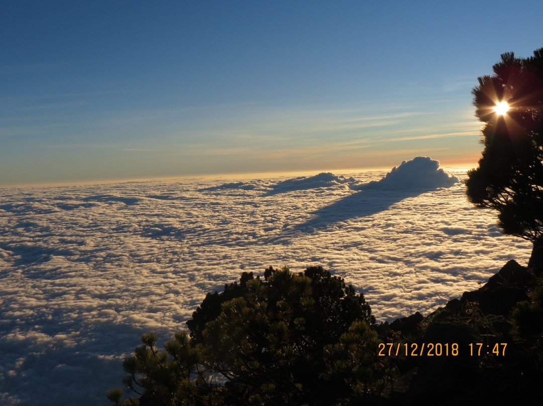 Volcan Tacana景点图片