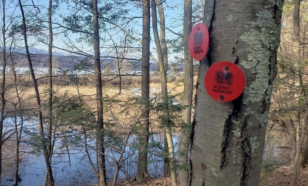 Poets' Walk Park-Red Hook必去景点