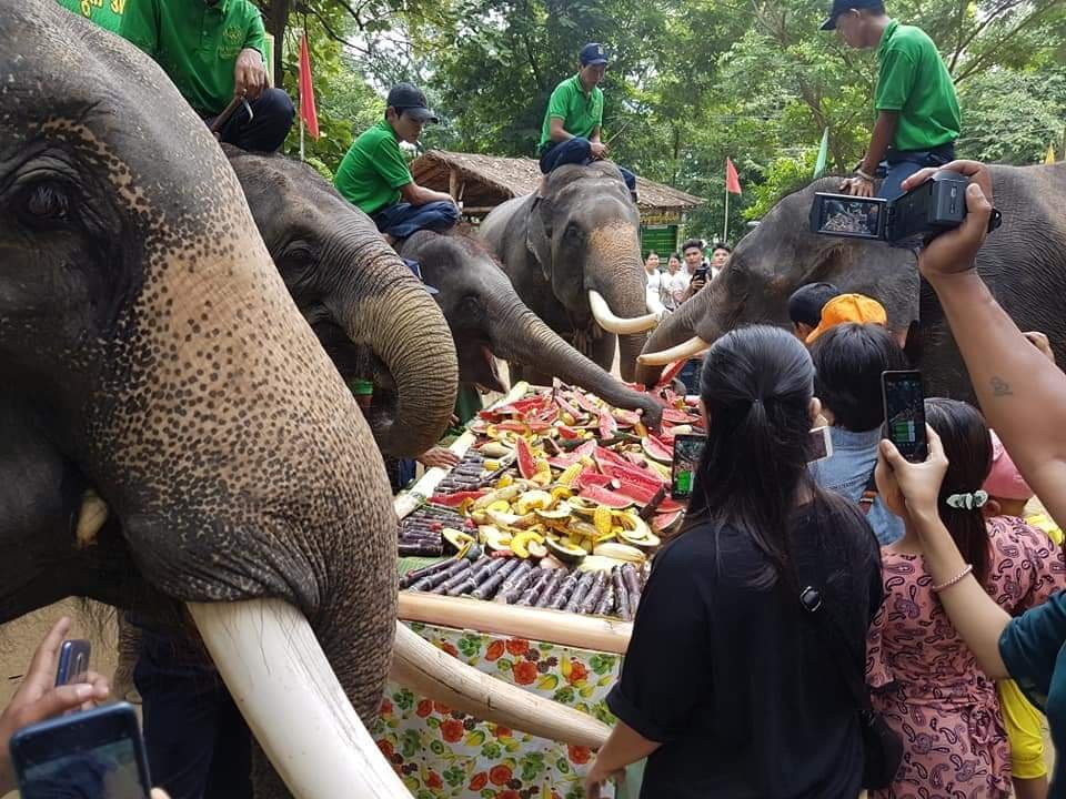 Pyay Elephant Camp-卑谬必去景点