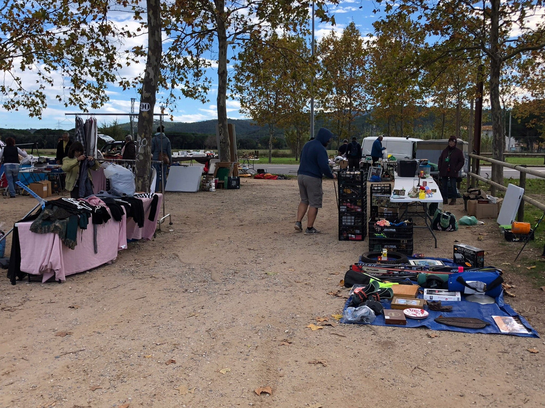 Mercat de Segona Ma, Brocante i Col-leccionisme de Celra景点图片
