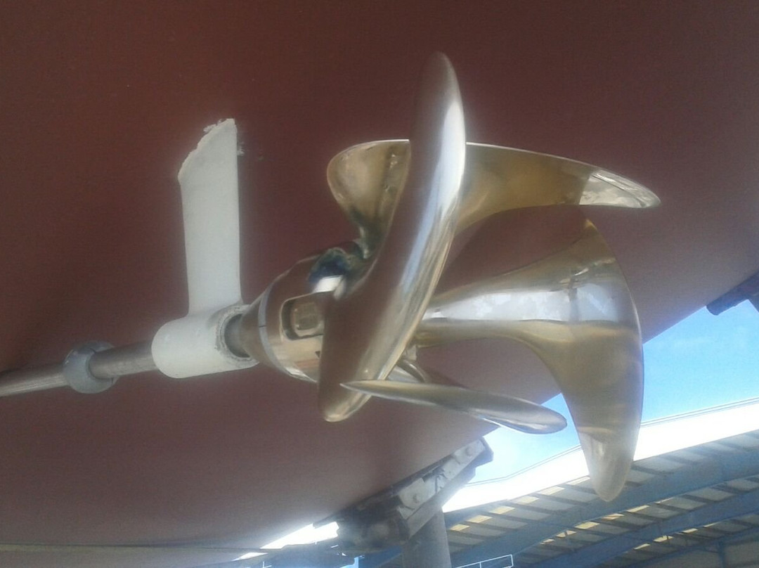 Flounder Yacht Sailing Tours-帕哈拉必去景点