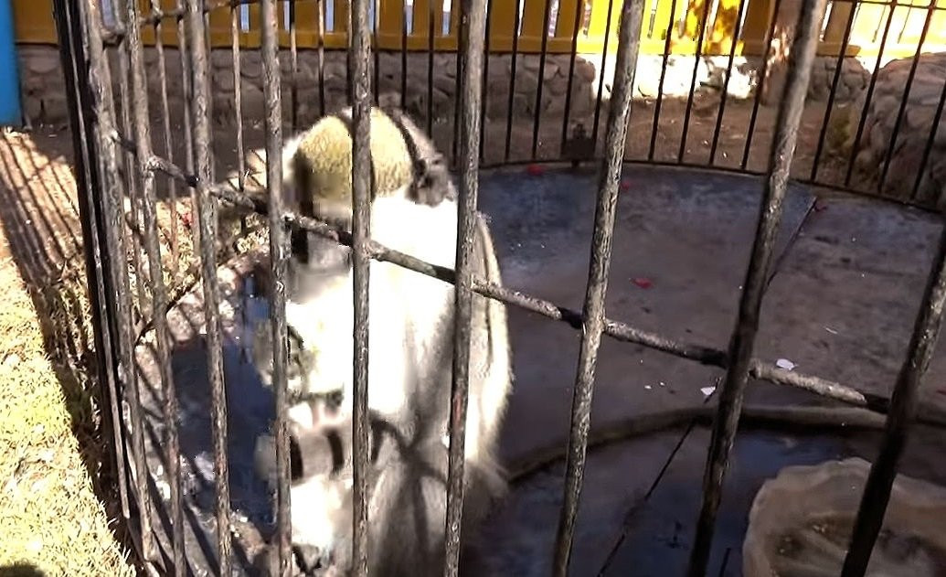 节庆花园度假酒店主图