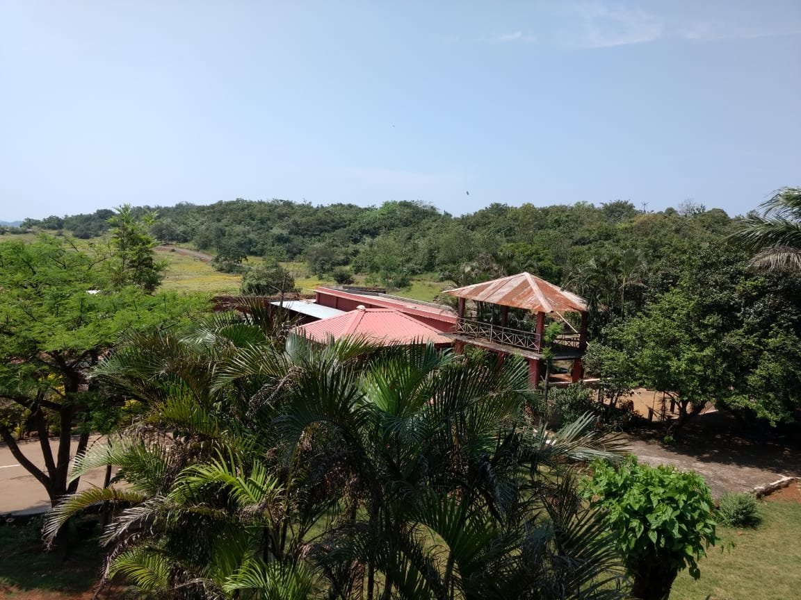 Blue Mormon Jungle Holiday Resort-浴室