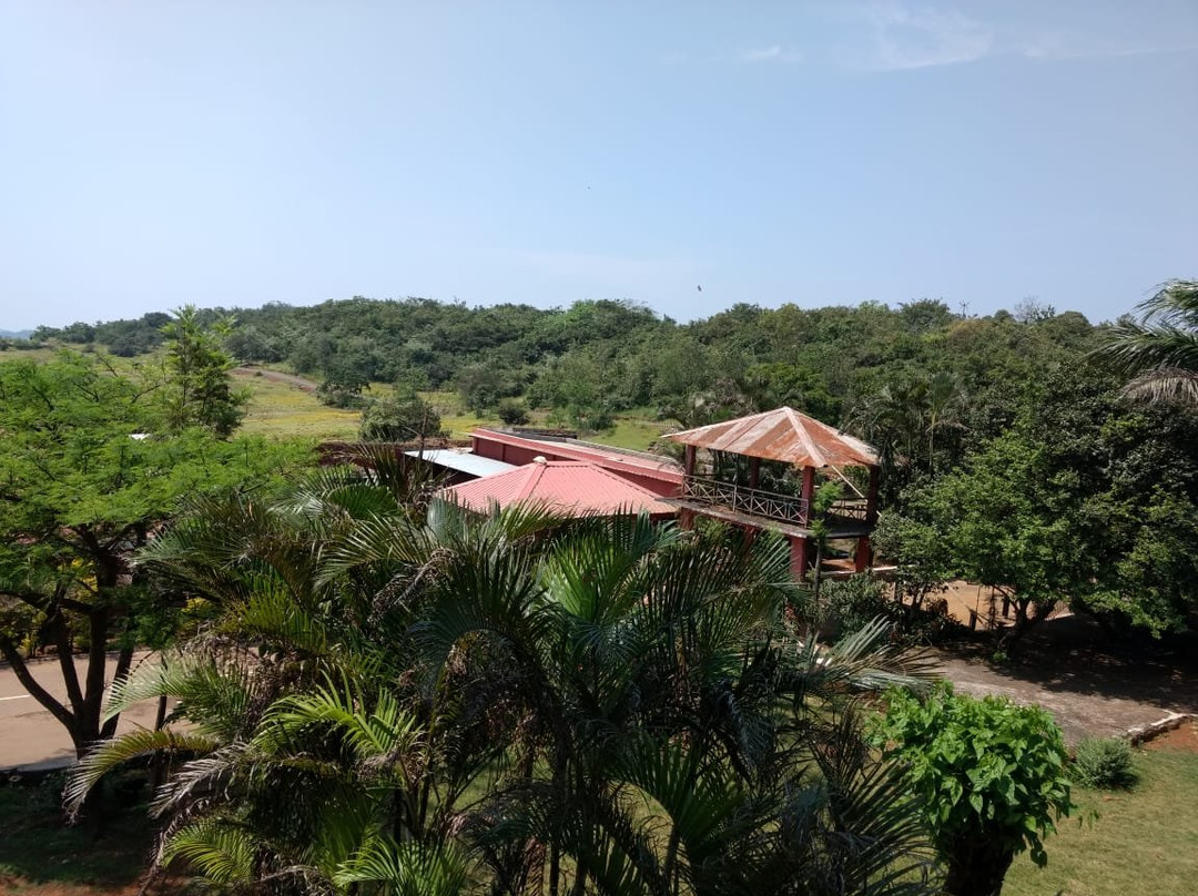 Blue Mormon Jungle Holiday Resort主图