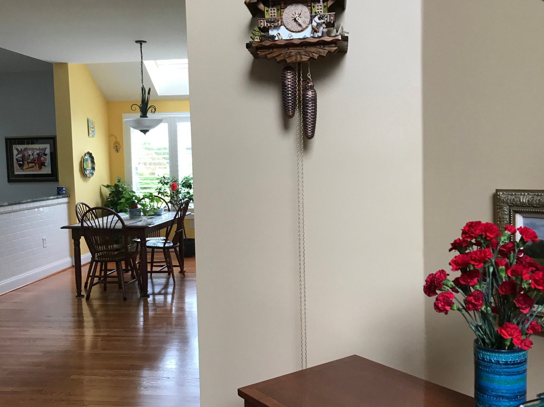 Cuckoo Clock Center景点图片