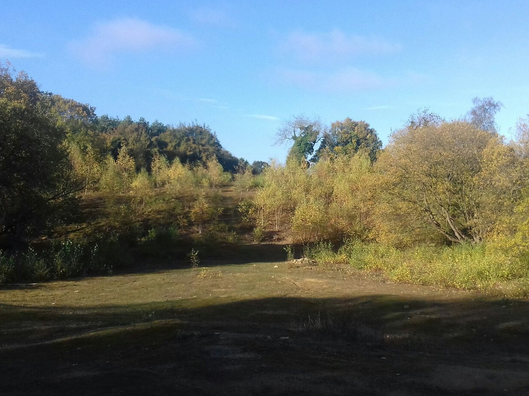 Old Sulehay Nature Reserve景点图片