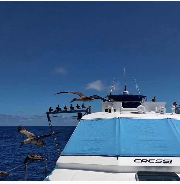 Nortada Galapagos-圣克鲁斯必去景点