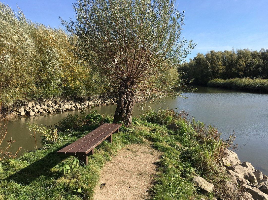 Rhoonse grienden-Rhoon必去景点