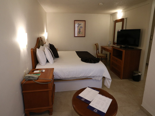 阿瓜斯卡达特斯酒店住宿-Hotel Mision Aguascalientes Sur