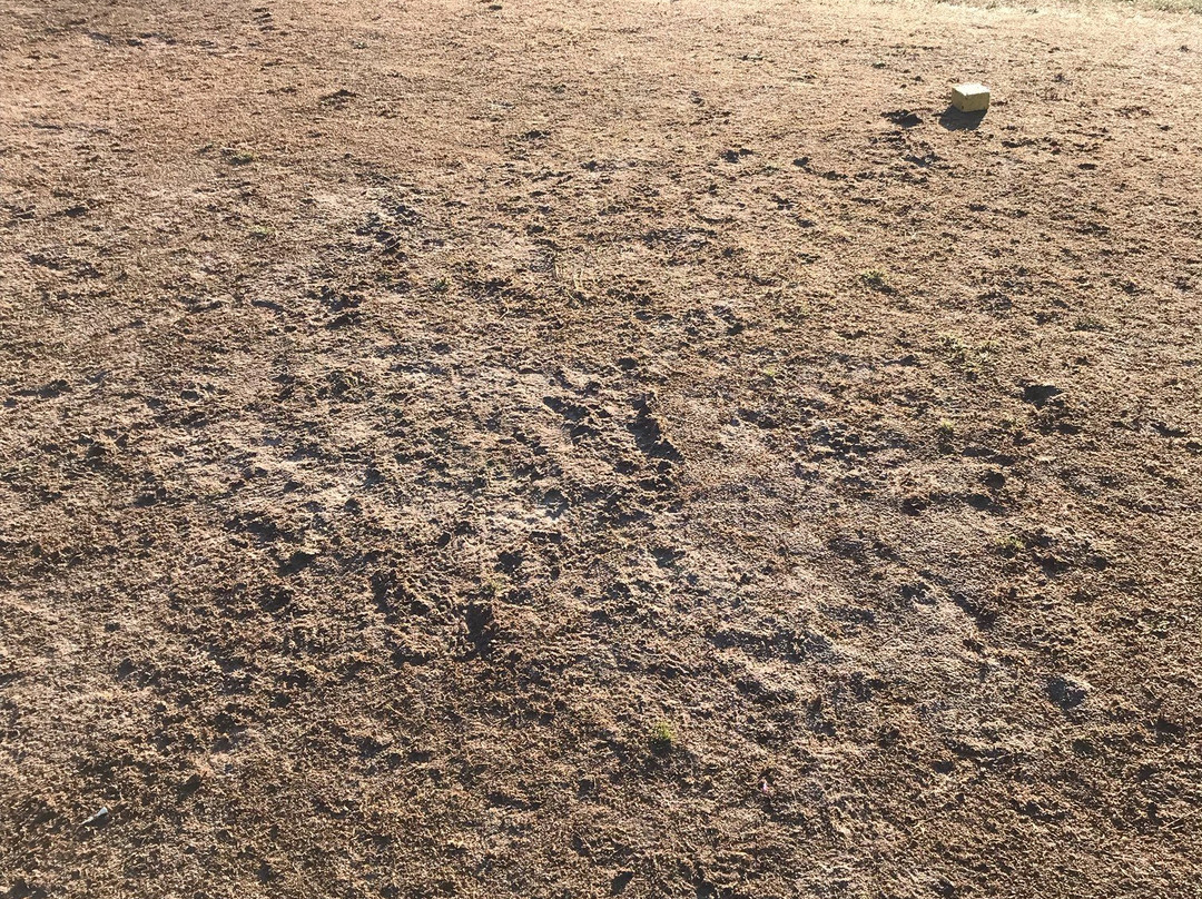 Golf Clément Ader-Gretz-Armainvilliers必去景点