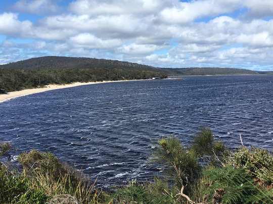 Diamond Tree-Manjimup必去景点