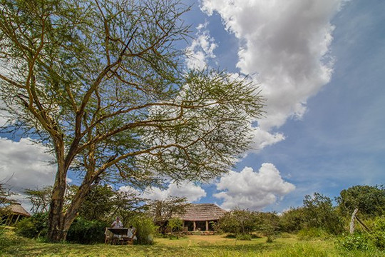 El Karama Lodge主图