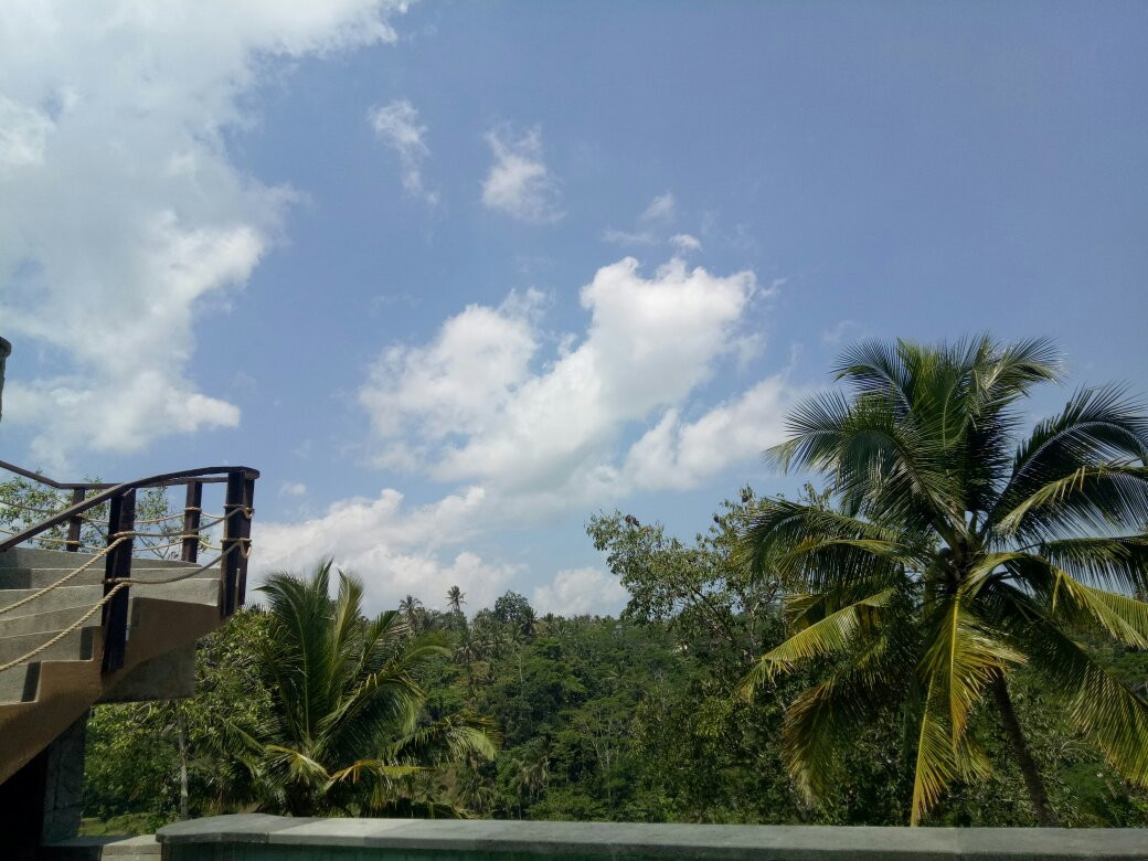 Wanna Jungle Pool & Bar