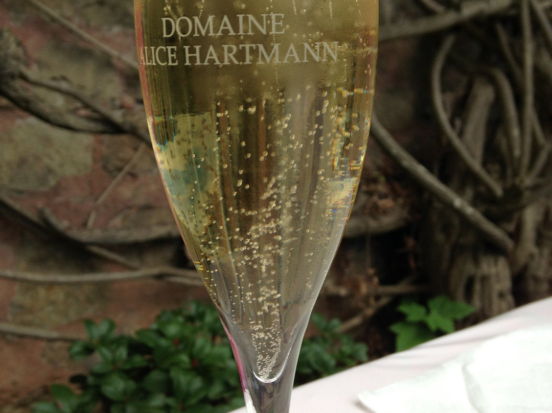 Ehnen旅游景点-Domaine Alice Hartmann
