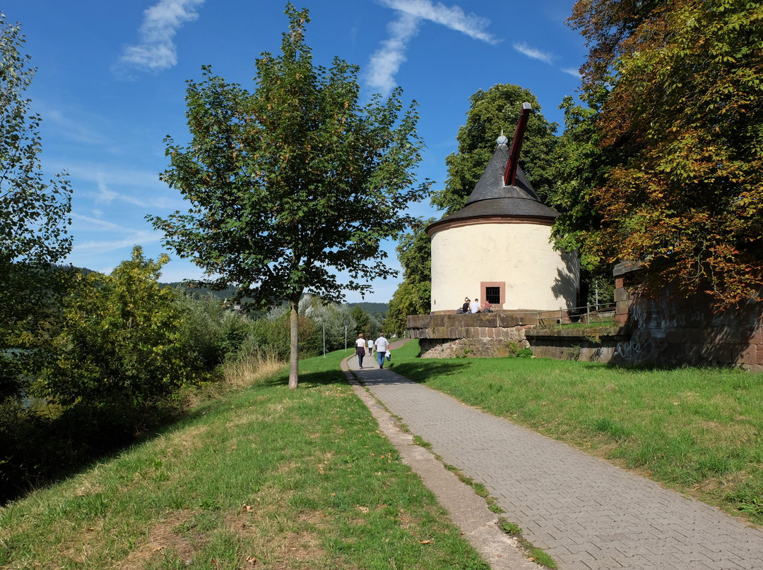 Sogenannter Jüngerer Moselkran景点图片