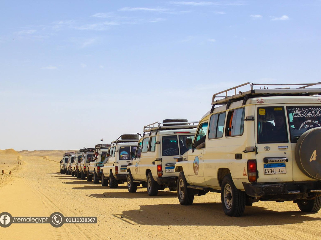 Sandboarding Cairo Club-开罗必去景点