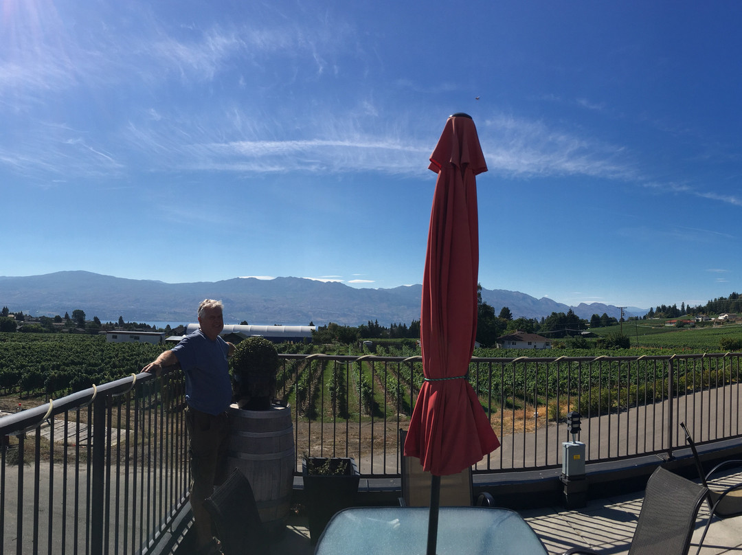Volcanic Hills Estate Winery景点图片