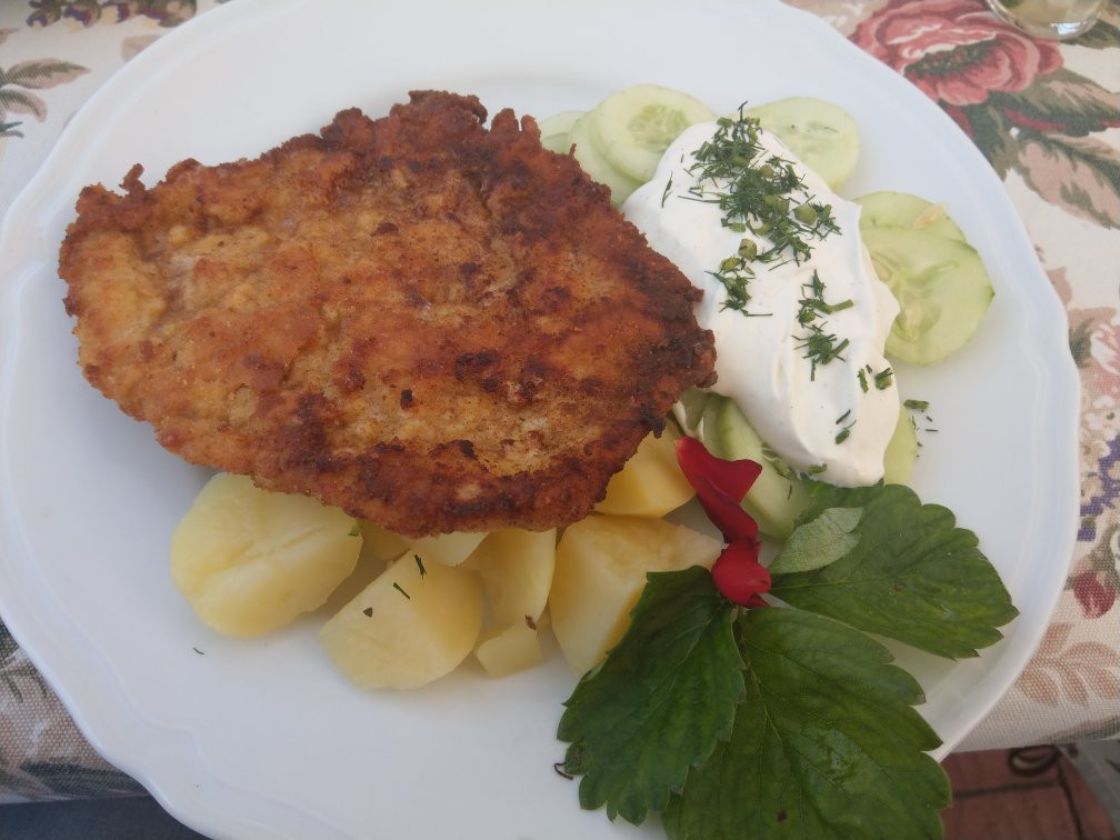 Jablonna旅游攻略图片