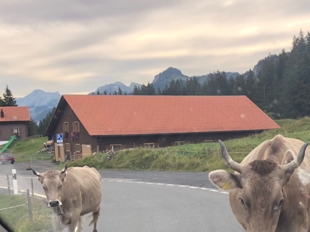 Ibergeregg旅游攻略图片