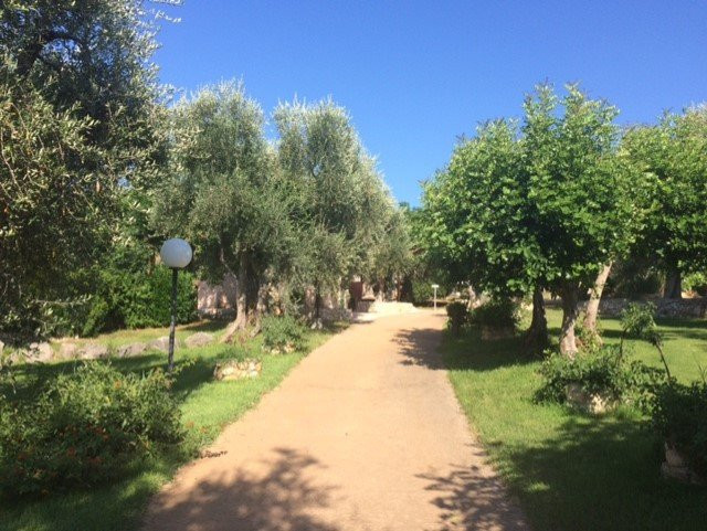 Villaggio Uliveto主图