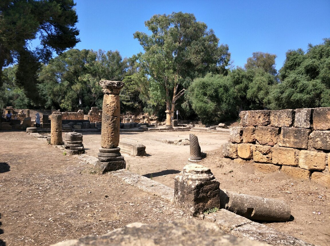 Ruines Romaines Tipaza景点图片