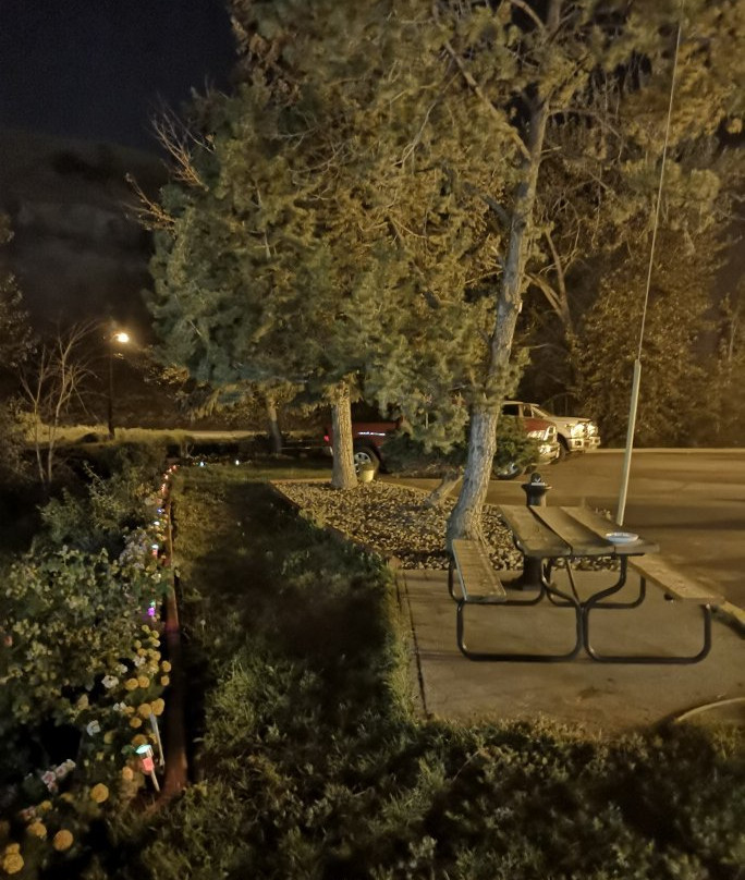 Sandman Inn Cache Creek主图