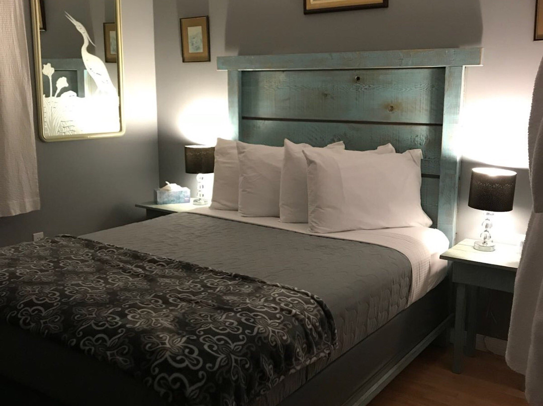 Chocolate & Serenity B&B主图