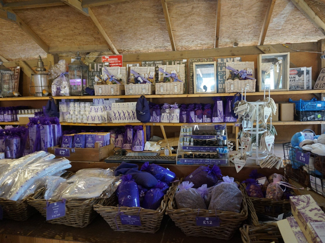 Mayfield Lavender Cafe and Gift Shop景点图片