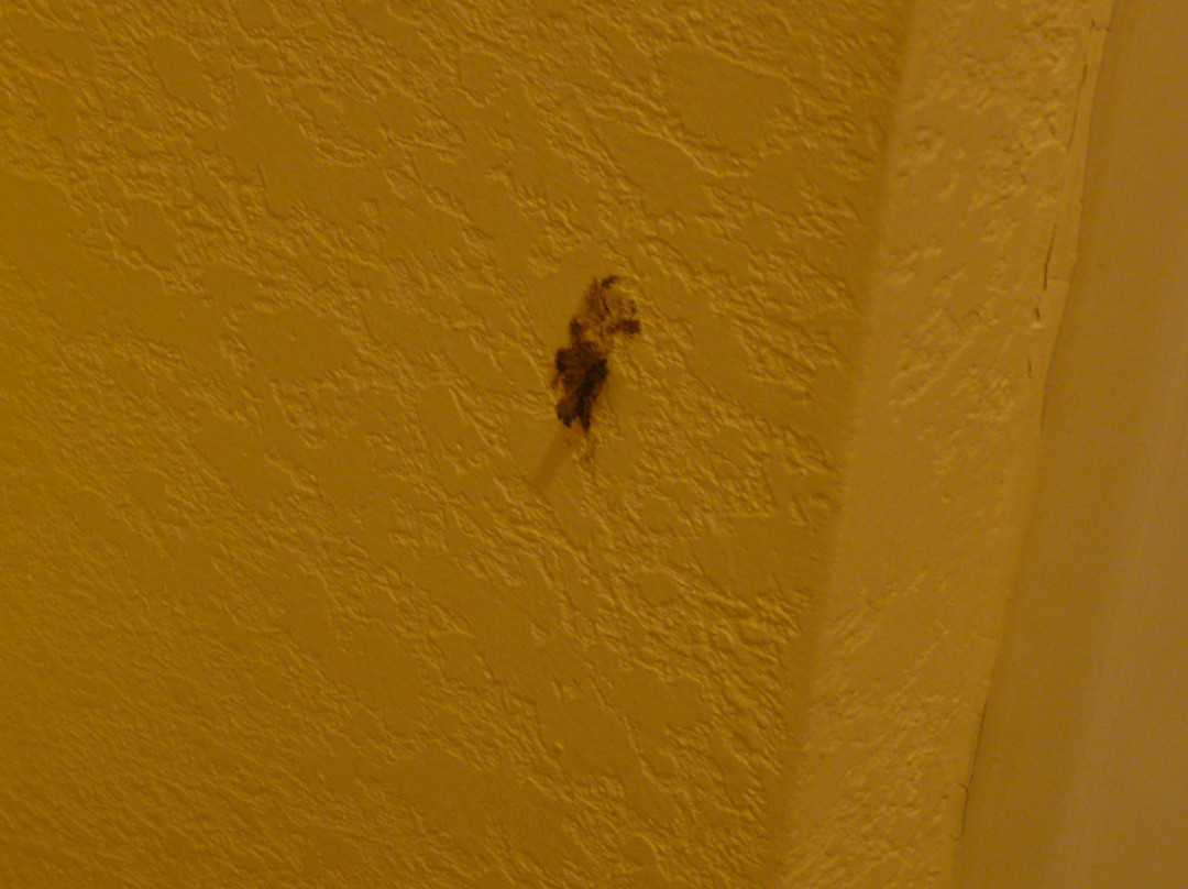 Heritage Inn & Suites主图