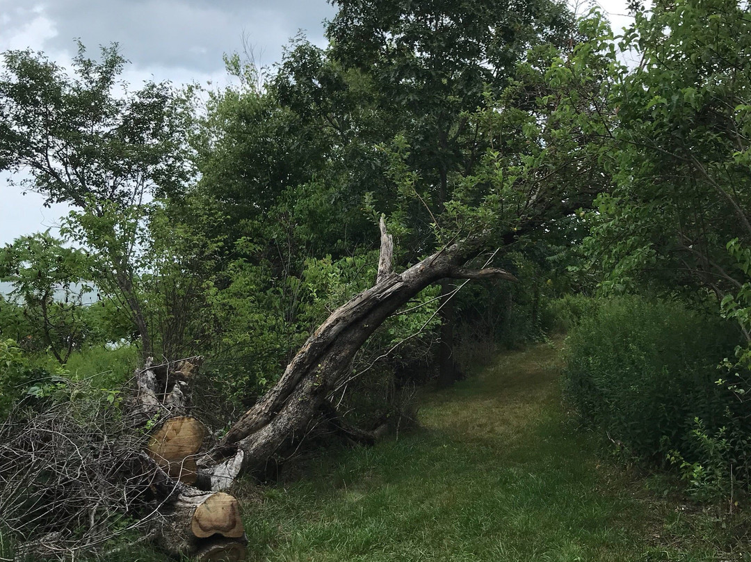 Bumpkin Island-赫尔必去景点