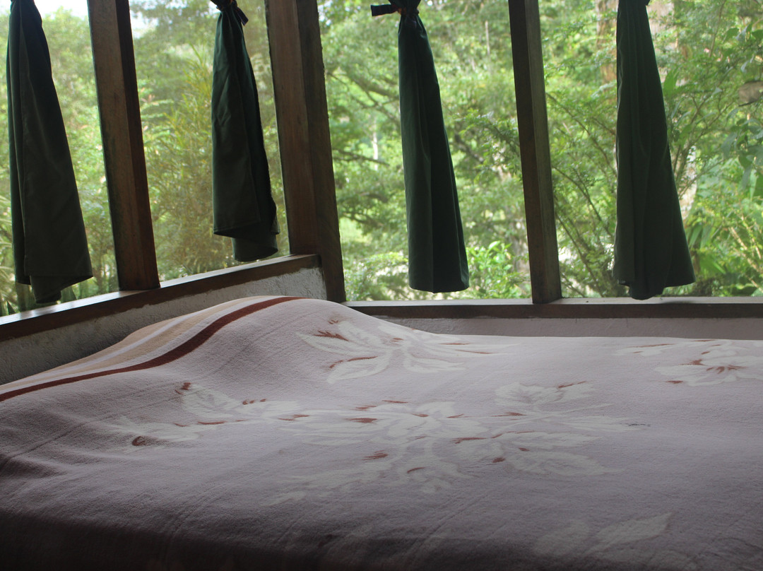 France Amazonia主图