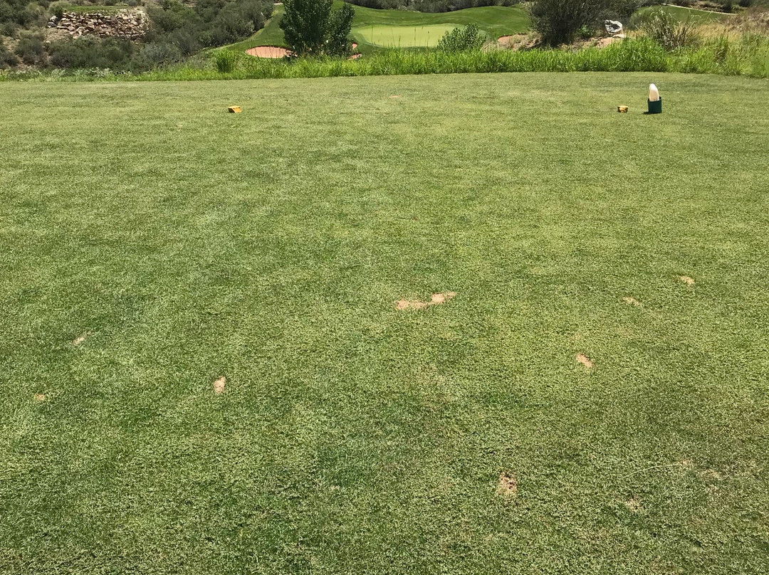StoneRidge Golf Course景点图片