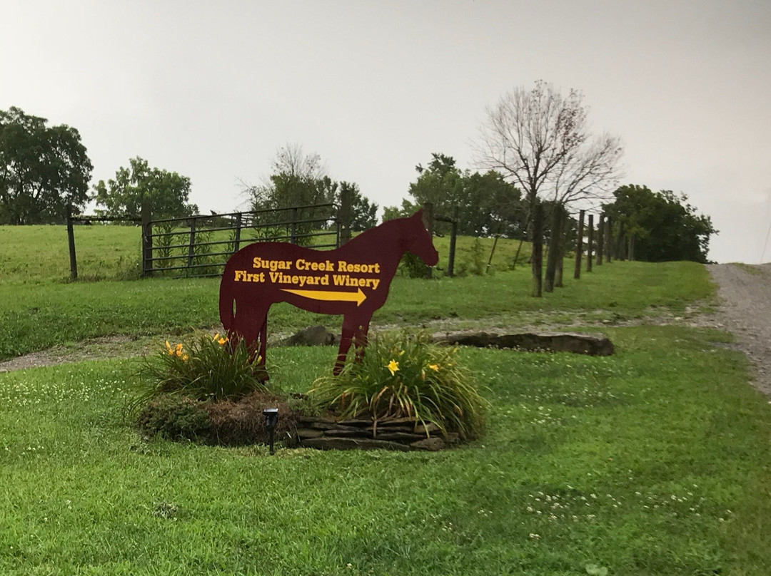 First Vineyard-Nicholasville必去景点