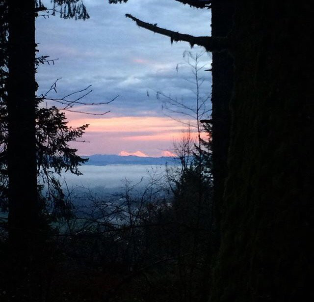 OSU McDonald-Dunn Research Forest-科瓦利斯必去景点