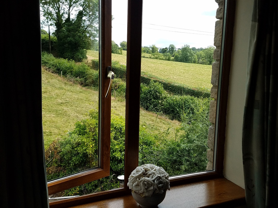 Drumbo Lodge B&B主图