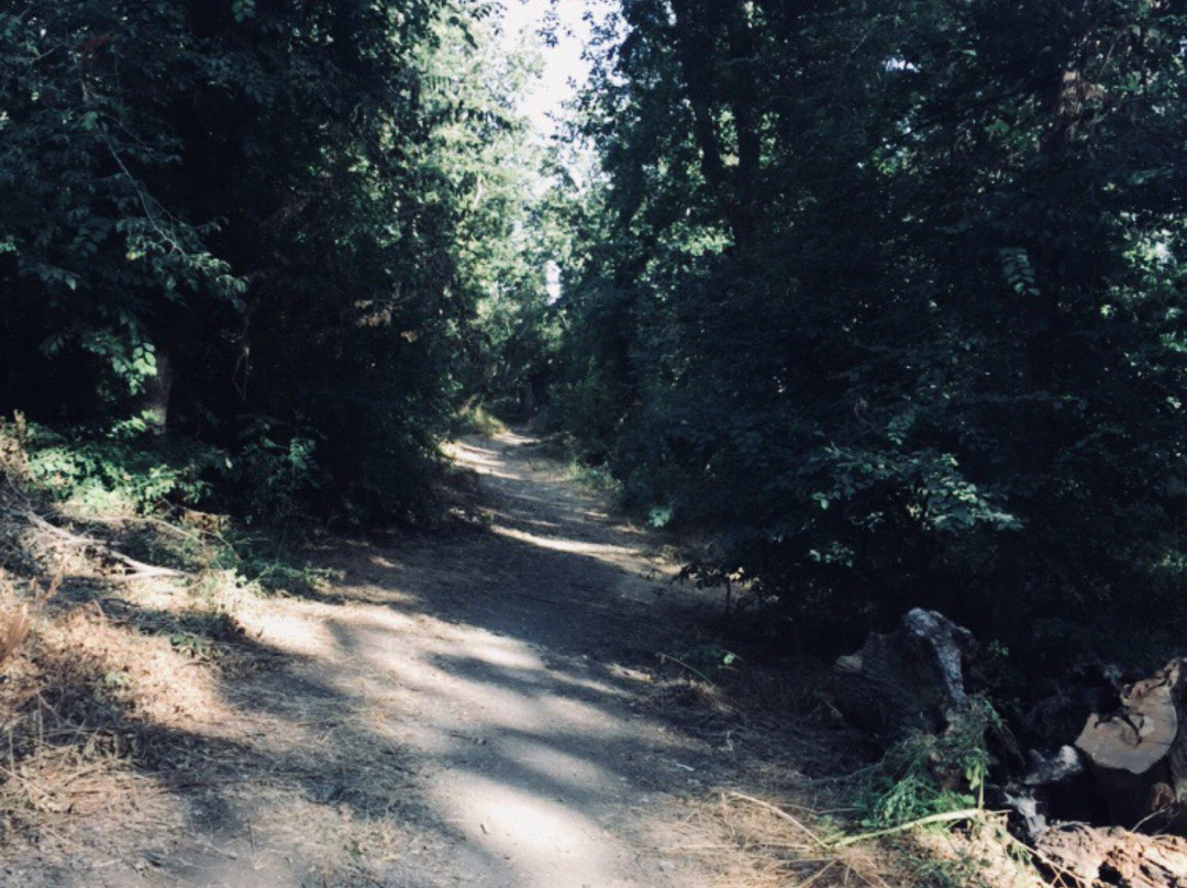 Oasi Bosco di Palo-拉迪斯波利必去景点