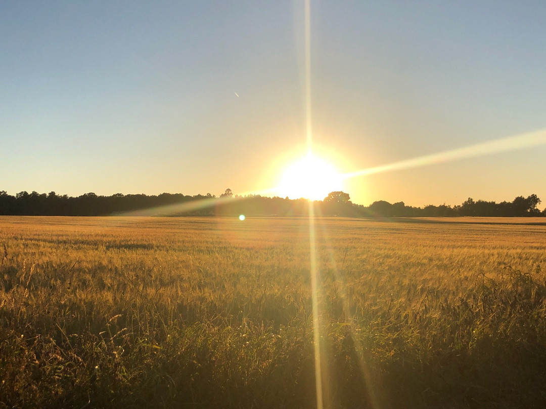 幸福奶奶的住宿加早餐旅馆主图