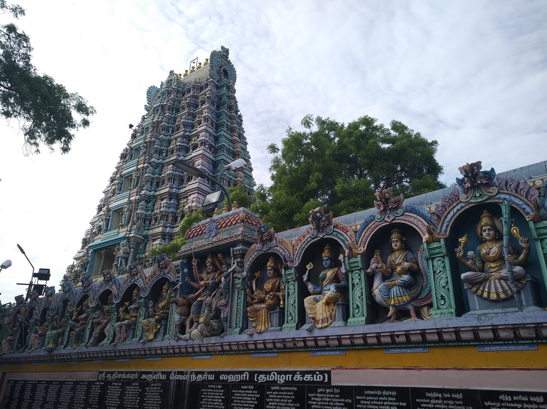 Sri Badrakaliamman Temple景点图片