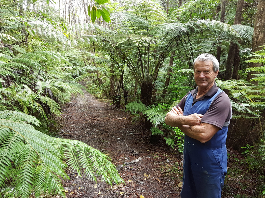 Warblers Retreat主图