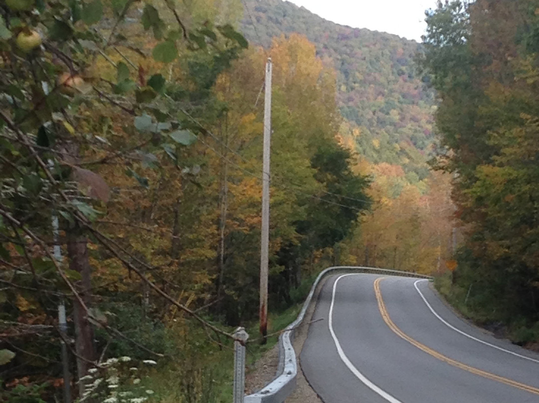 The Warren House主图