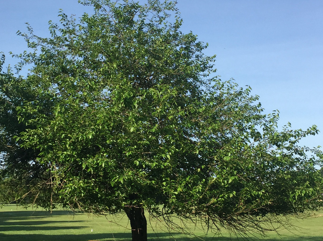 Mercer County Park-West Windsor Township必去景点