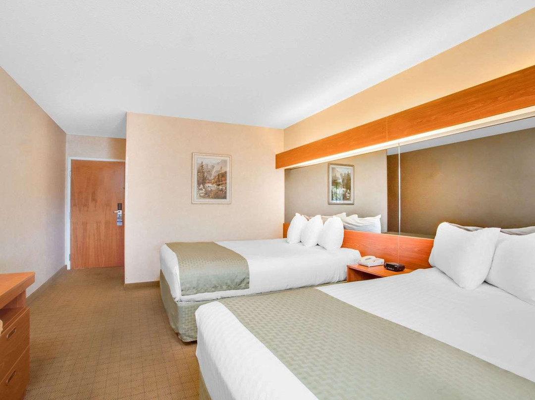 Microtel Inn & Suites by Wyndham Springville主图