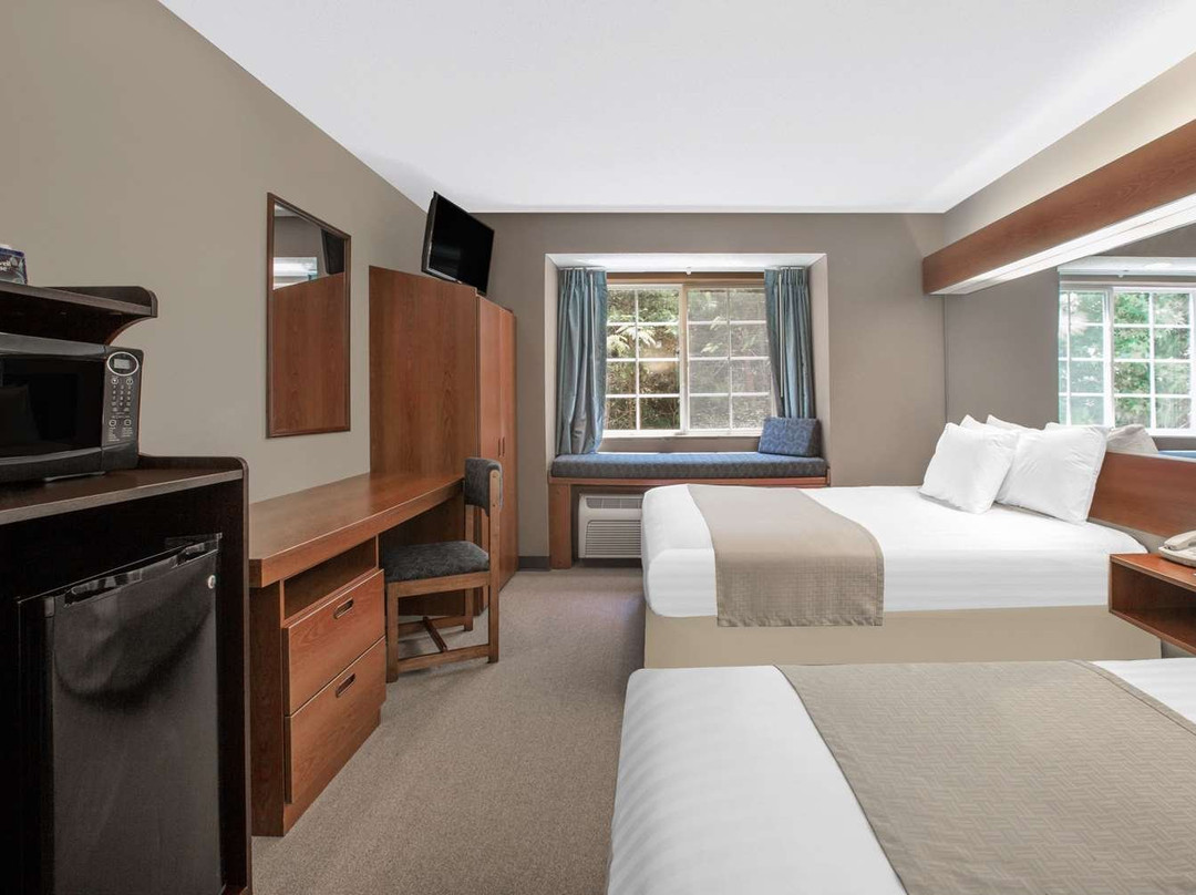 Microtel Inn & Suites by Wyndham Gardendale主图